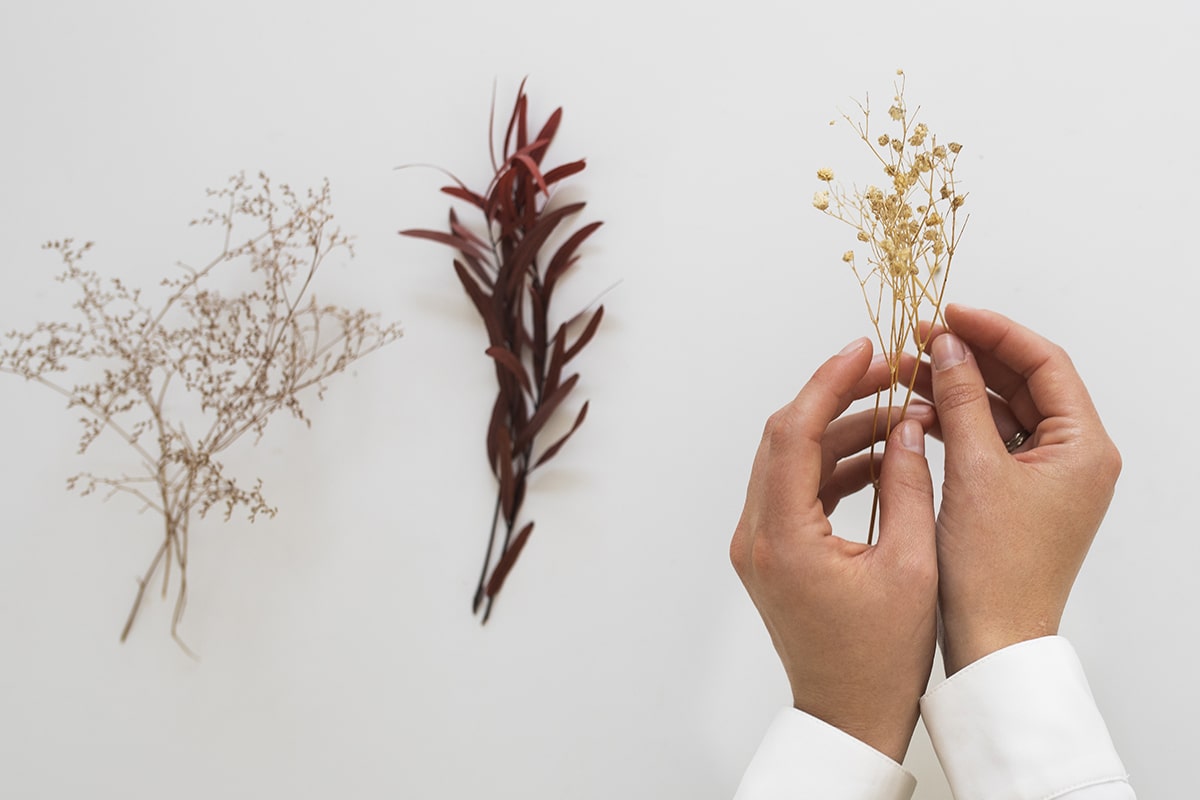 цветы дегидраторе