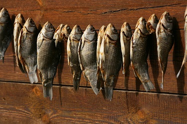 условия сушки рыбы