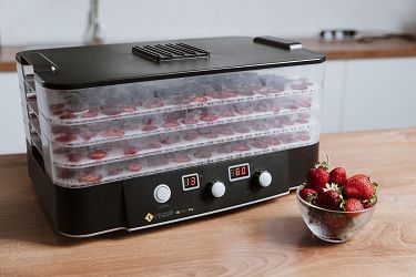 веган сыроед