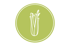 соковыжималка для сельдерея