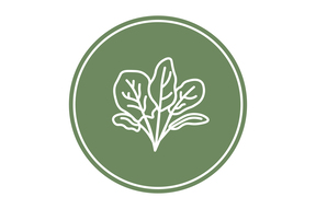 соковыжималка для зелени