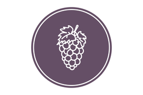 соковыжималка для ягод