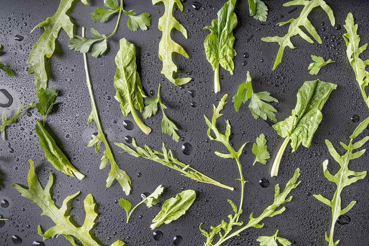 Как заготовить рукколу