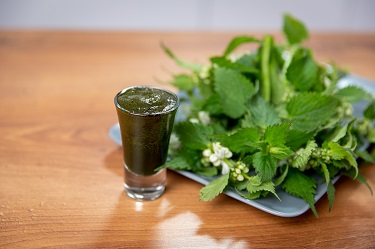 соковыжималка +для травы