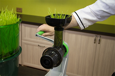 шнековые соковыжималки +для овощей