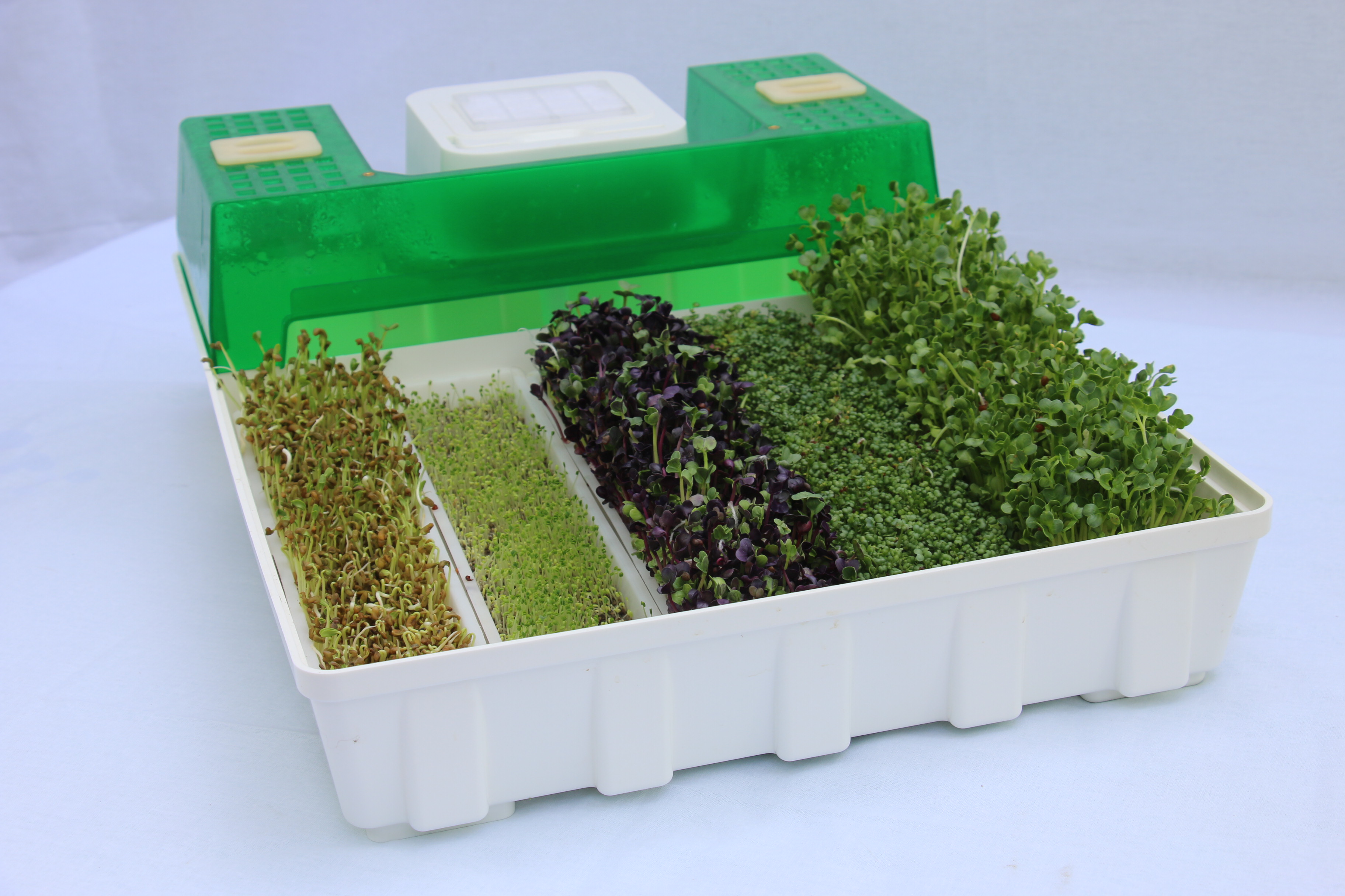 Микро ферма. Микроферма EASYGREEN EGL 55. Проращиватель для микрозелени автоматический. Проращиватель семян для микрозелени. Проращиватель семян, микрозелени, рассады.