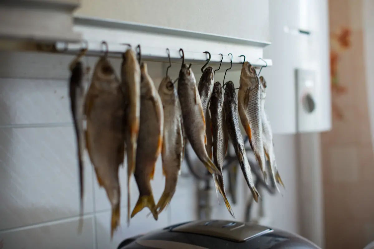 как сушить рыбу
