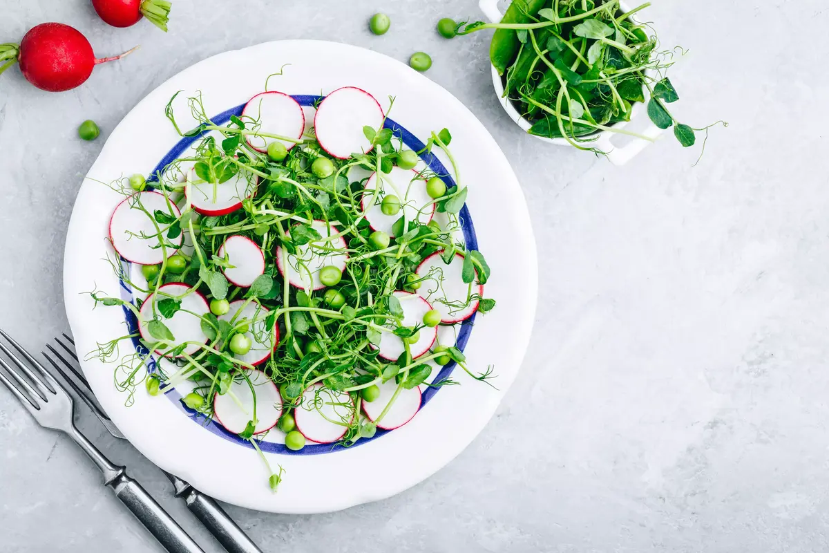 как приготовить салат с микрозеленью редиской и 