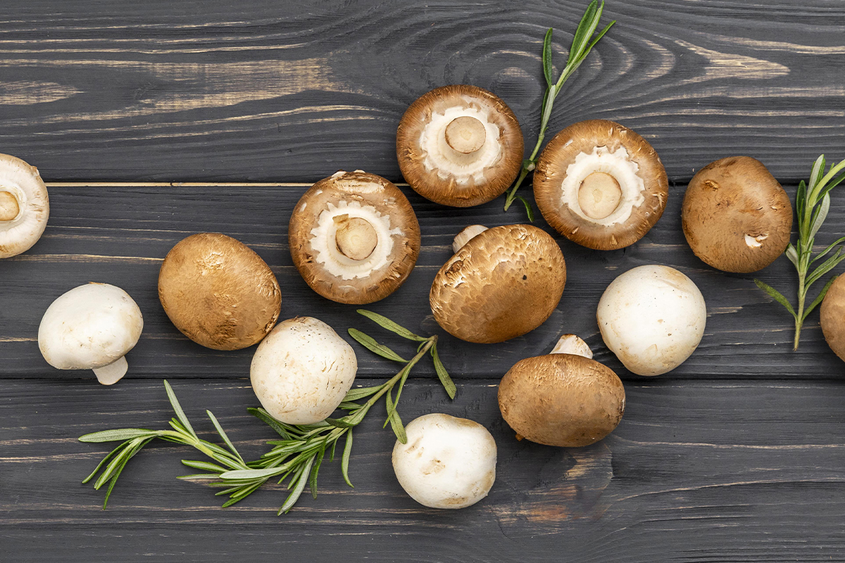 Какие грибы съедобные?