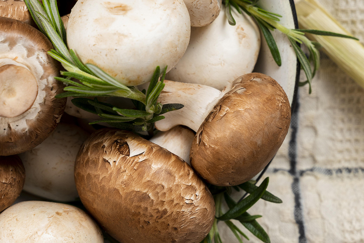 Сбор грибов в лесу