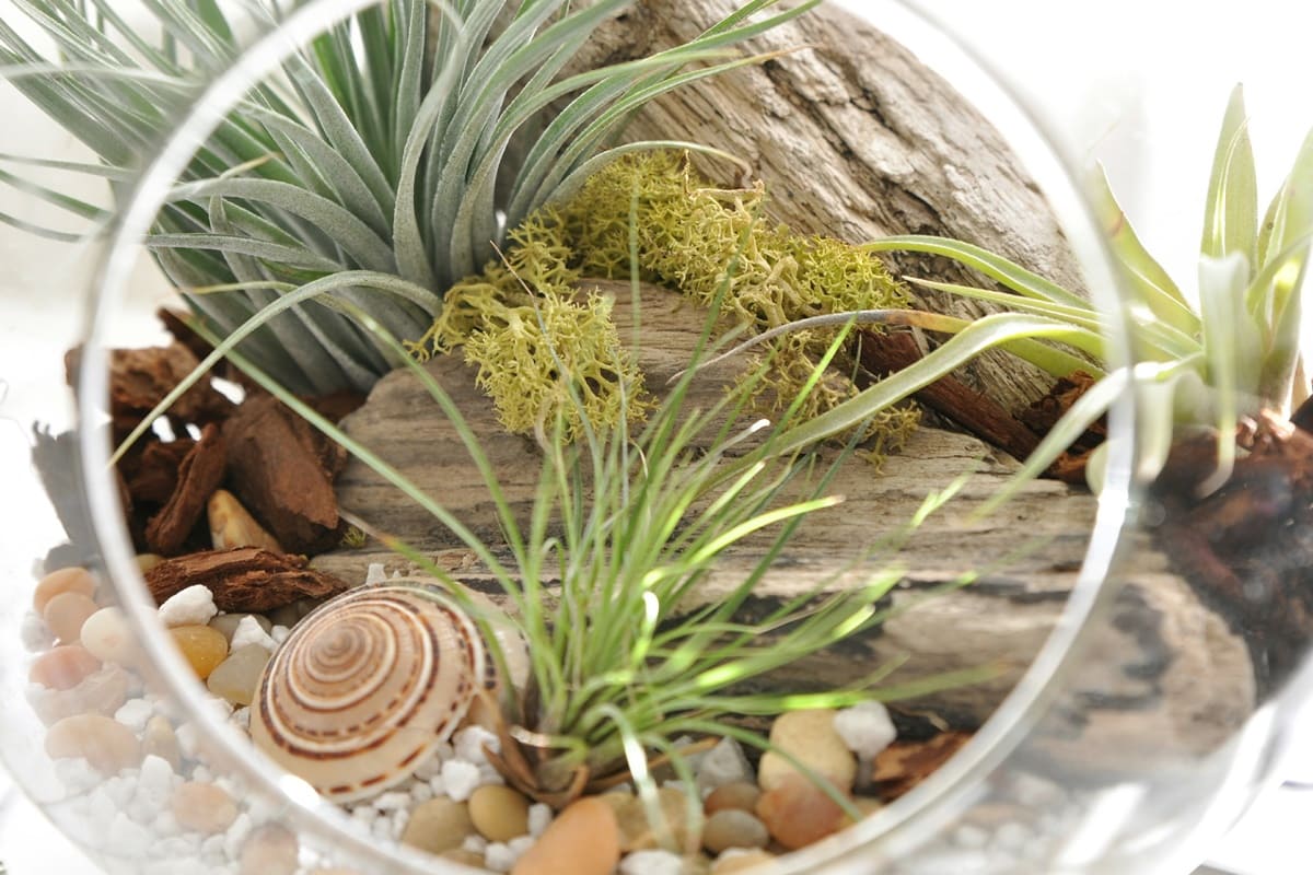 что подарить на день матери