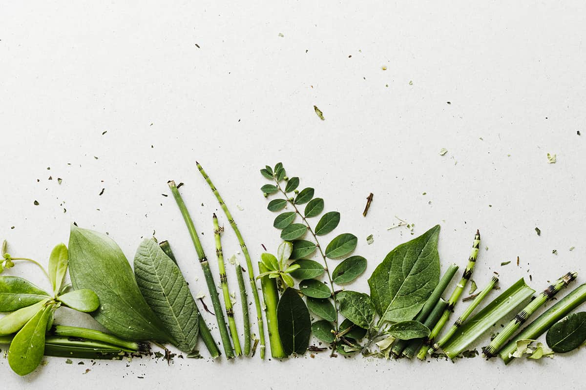 соковыжималка для зелени