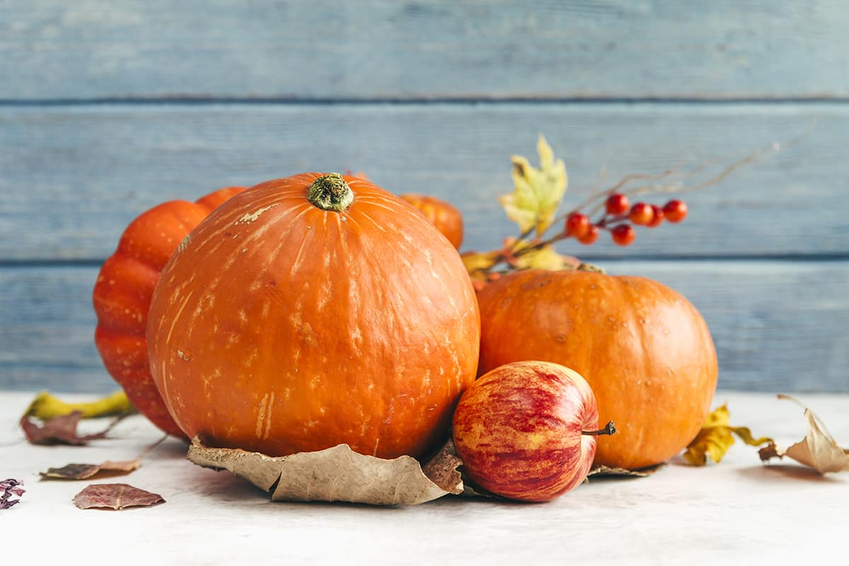 Приготовление блюд из тыквы