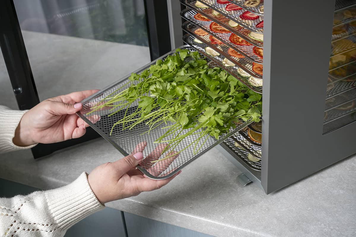 сушить в дегидраторе