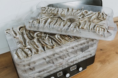 сушка +для рыбы купить