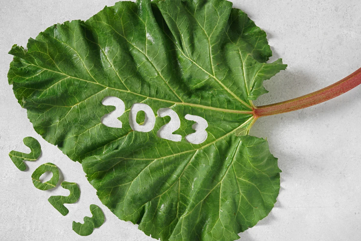 новый год 2023 веганский вегетарианский рецепты что приготовить новогоднее меню