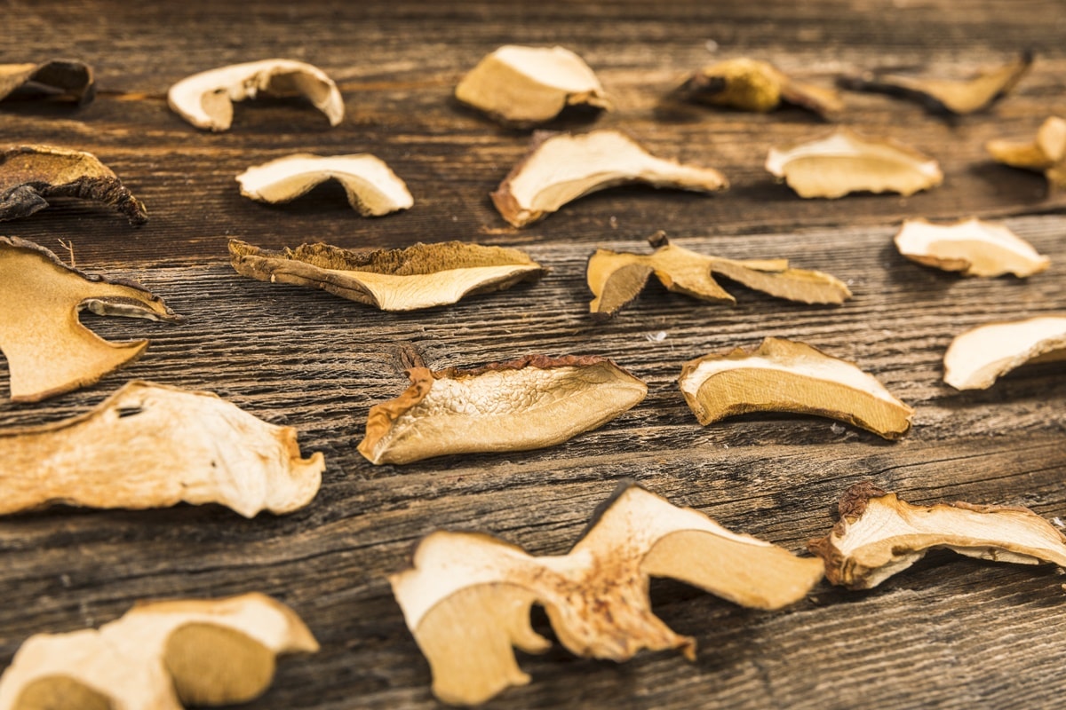 как сушить грибы