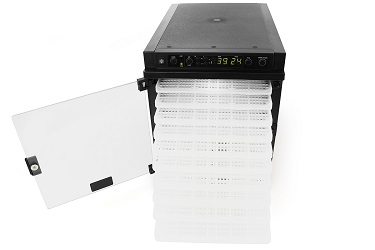 диета сыроедение