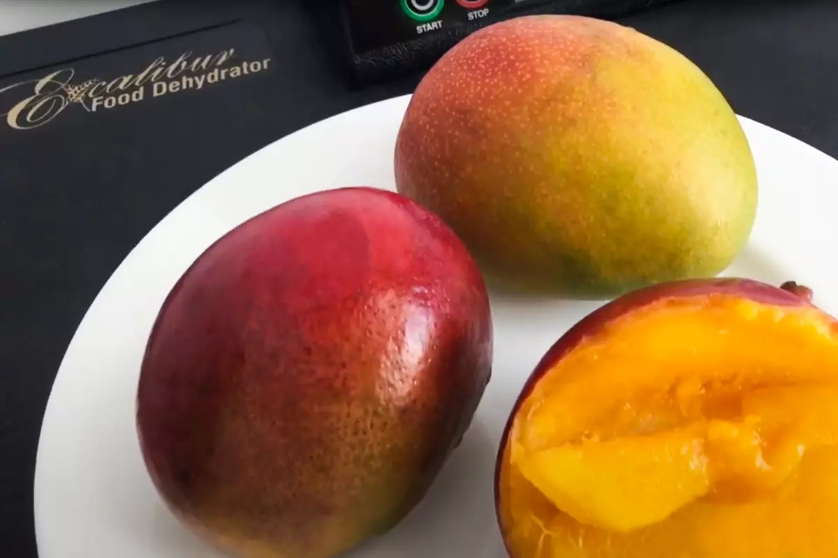 применение бытового дегидратора дозаривание фруктов довести до зрелости манго