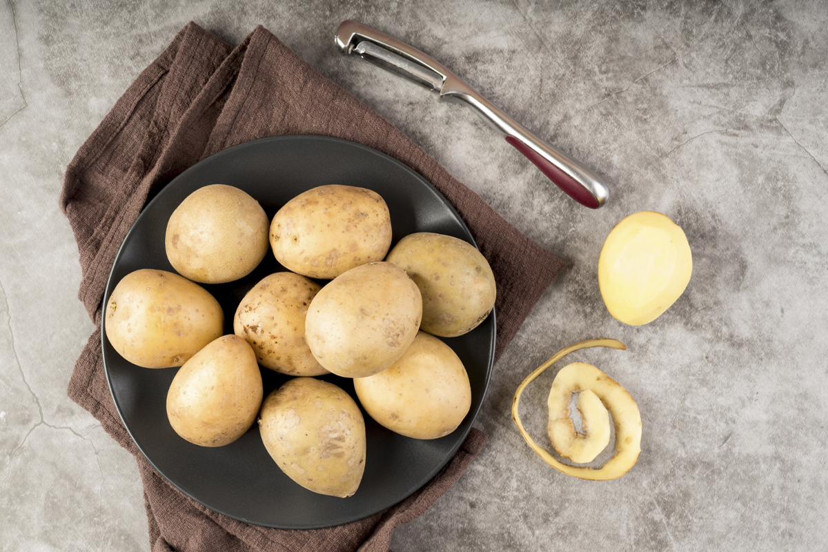 шнековая соковыжималка