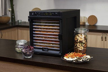 дегидратор +для овощей +и фруктов пастила