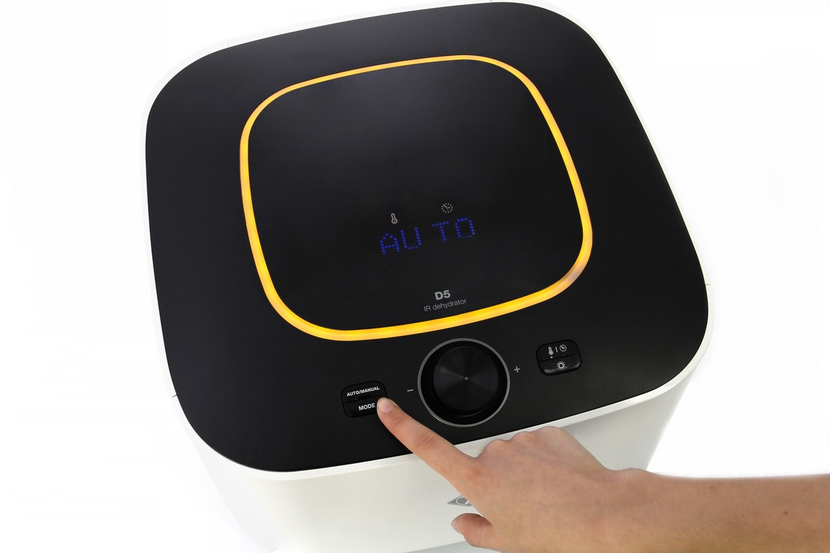 закваска для имбирного пива в дегидраторе