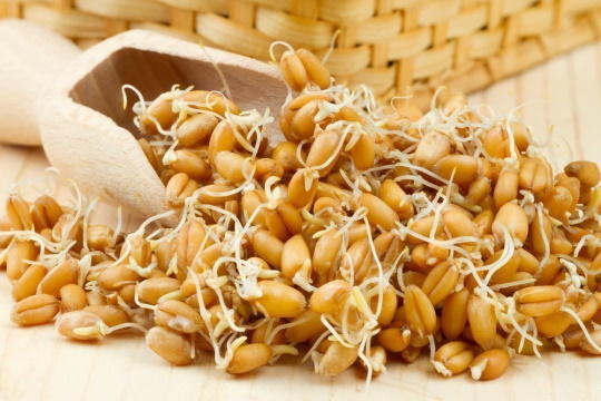 Ростки пшеницы против рака