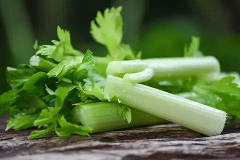 Сельдереевый сок: польза и вред, как пить и сделать🥬