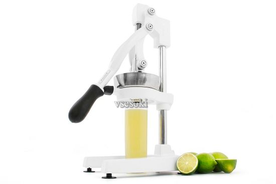 Citrus press juicer hot sale