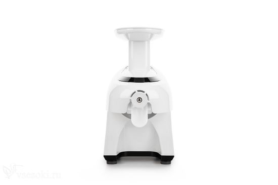 Green star slow juicer hotsell